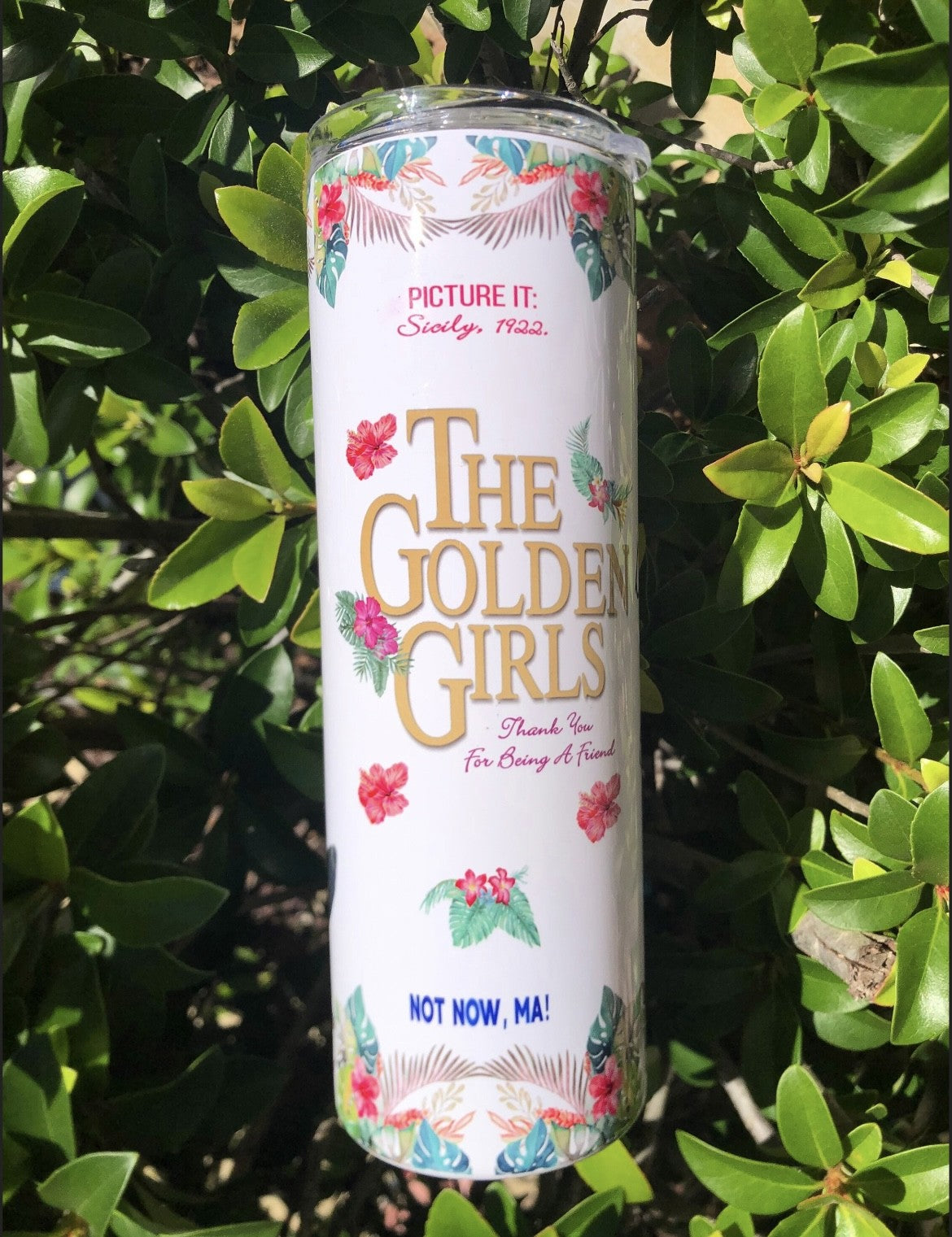 Golden Girls Skinny Tumbler 20 oz