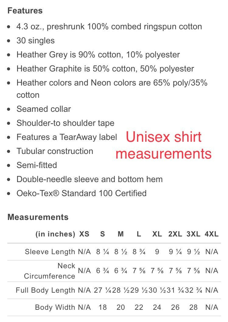 Dinosaur shirt, colorful dinosaur, rainbow dinosaur, rainbow shirt, boy mom shirt, boys t shirt, boy dinosaur shirt,